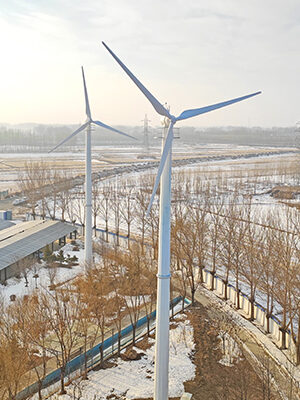 50kW 風(fēng)力發(fā)電機