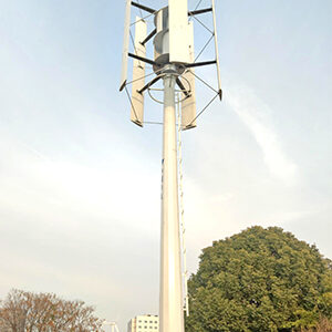 10kW 垂直軸風(fēng)力發(fā)電機(jī)